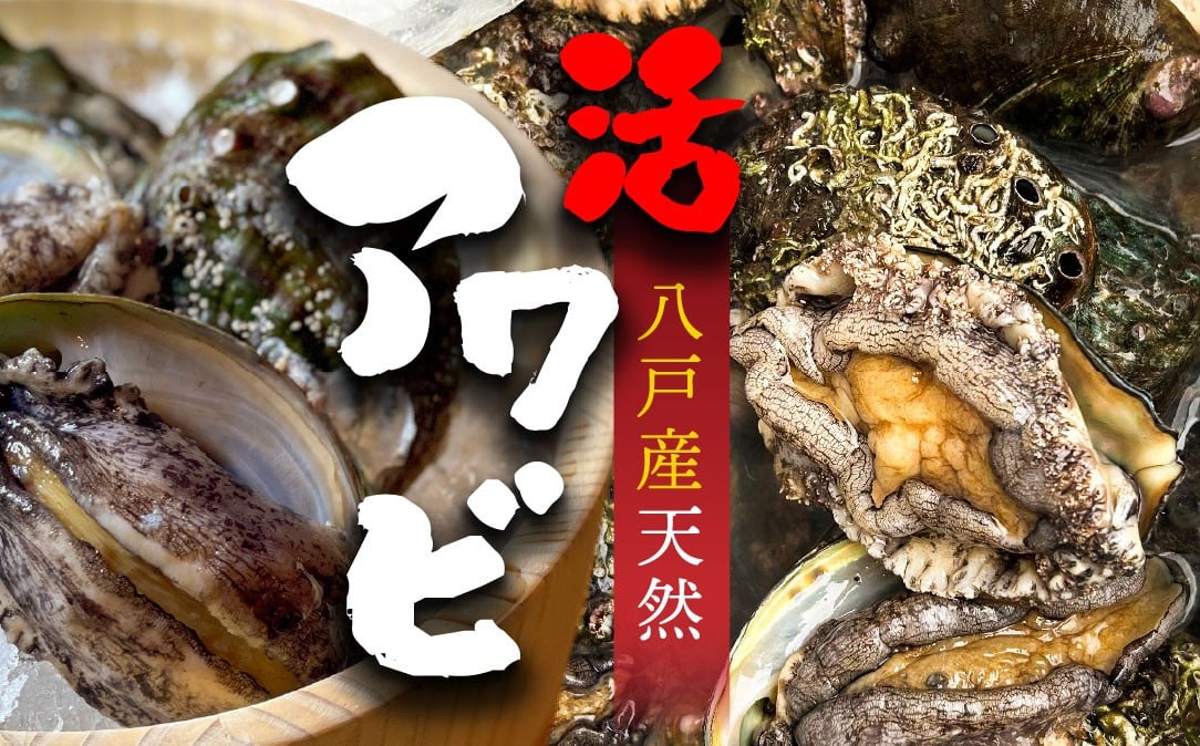 
            八戸産 天然活アワビ（1個約100g前後）
          