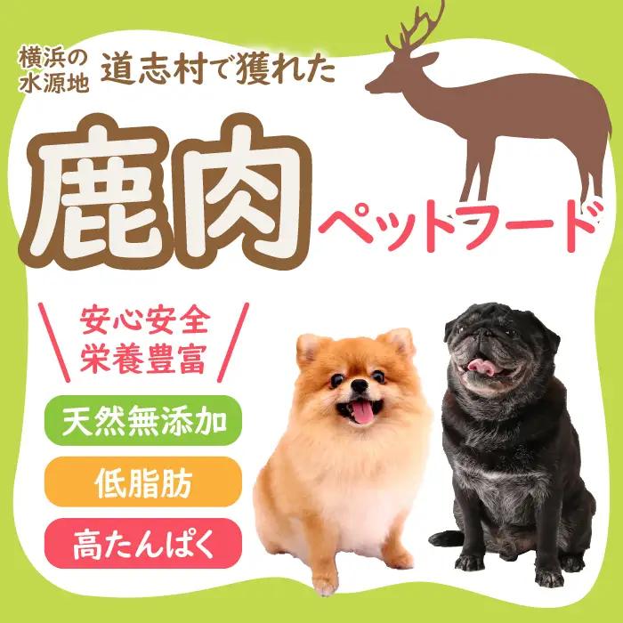 【ペットフード】道志村産 鹿ジャーキー (100g×2セット) DSH015