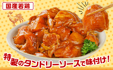 特製ソース味付け!タンドリーチキン≪300g×5≫_AA-9232_(都城市) 国産 若鶏 鶏肉 味付 タンドリーチキン 300g 5袋 インド料理