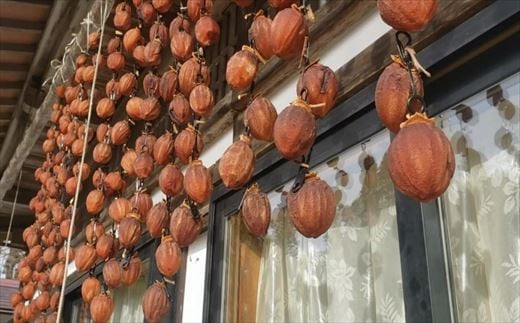 ≪先行予約≫ 大自然で作った 干し柿 15個 数量限定 季節限定 フルーツ スイーツ 柿 かき 冬の味覚 懐かしい 優しい甘さ 岩手県 一関市 12月下旬発送予定