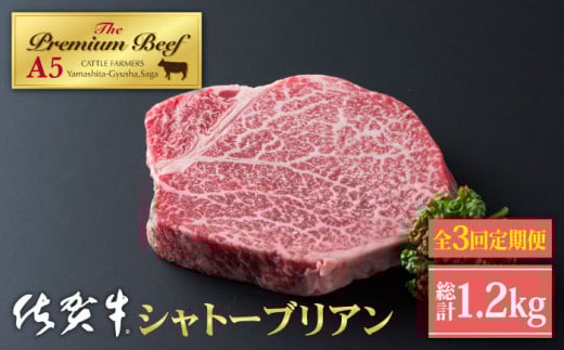 【全3回定期便】佐賀牛 A5 シャトーブリアン 400g ( 200g×2枚 ) 【山下牛舎】 [HAD069]