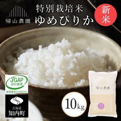 ふるさと納税 知内町 【令和7年産新米予約】「ゆめぴりか10kg」特別栽培米産地直送《帰山農園》