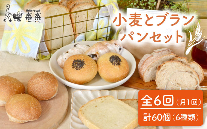 
                  【 全6回 定期便 】栽培期間 農薬 科学肥料 不使用 小麦 と ブラン の パン セット ( 卵 / 乳製品 不使用 )《糸島》【天然パン工房楽楽】【いとしまごころ】[AVC019]
                