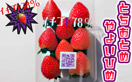 早く見つけて～！！甘い！美味しい！と巷で噂の苺をいっぱい食べてる人程食べてほしい&hearts; とちおとめ260g×2＆やよいひめ260g×2 ※北海道・沖縄・離島への配送不可 ※2025年12月下旬頃より順次発送予定 _FE03