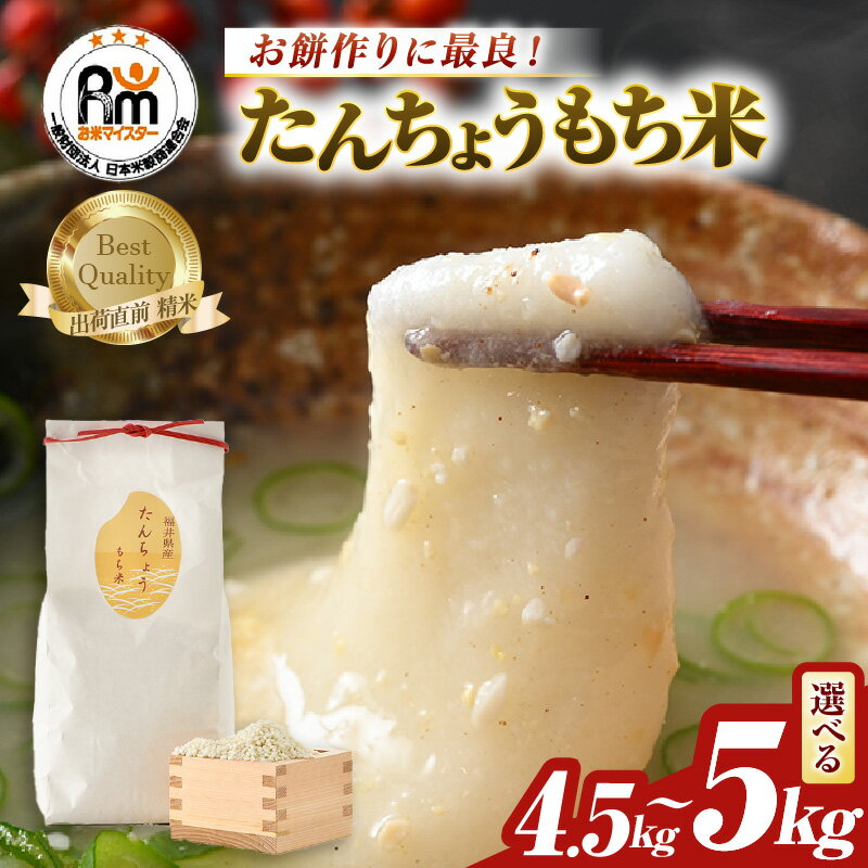 【ふるさと納税】【令和7年産】たんちょうもち米 【選べる容量：1.5kg×3袋（計4.5kg） / 5kg×1袋 】精米 ≪希少！お餅作りに最良≫ ／ 米 お米 もち米 こめ 餅 タンチョウ 餅つき 丸餅 柏餅