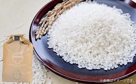 【令和7年産】 ヒノヒカリ 5kg×1袋 【2025年10月下旬～2026年3月下旬迄発送予定】 お米 米 精米 白米 ごはん ご飯 熊本県 あさぎり町