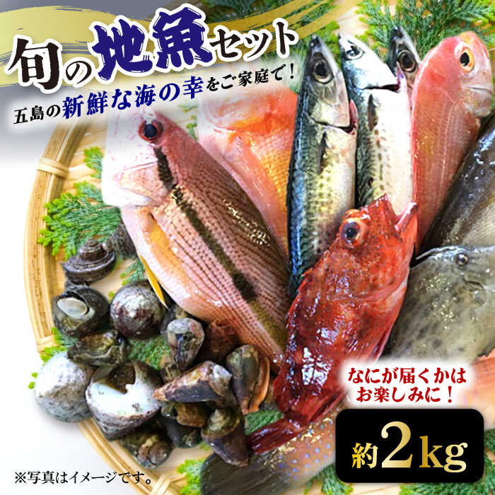【ふるさと納税】旬の地魚セット（エラ・内臓処理済） 五島市 / 五島FF [PBJ010] 鮮魚 冷蔵 魚介 刺身 魚