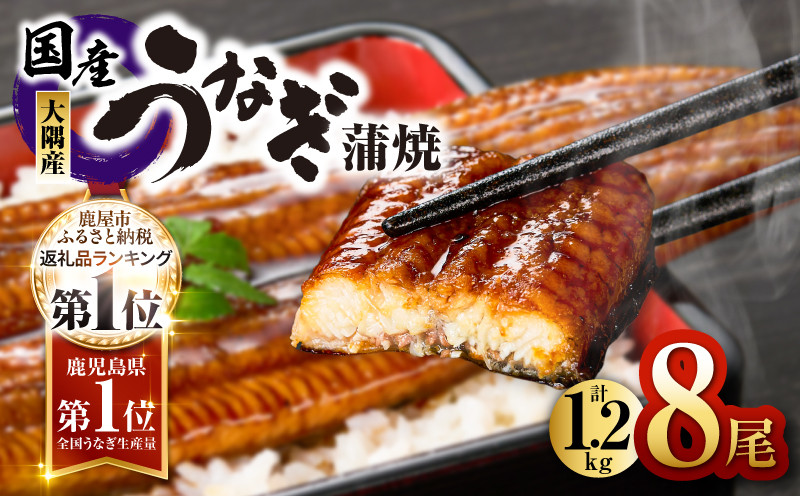 
                  【土用の丑の日特集】726-3 鹿児島県大隅産うなぎ蒲焼8尾（1.2kg）　KN007-008
                