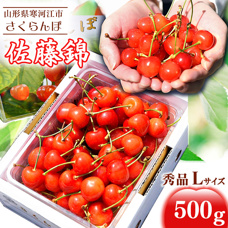 【先行予約】令和8年産 さくらんぼ 「佐藤錦」 500g（500g×1パック） 秀品 Lサイズ以上 2026年産 山形県産 【2026年6月上旬頃～下旬頃発送予定】※ 配送不可 沖縄・離島　020-A-HK015