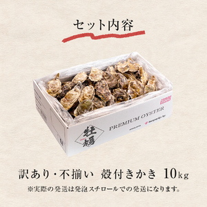 ＜訳あり・不揃い＞冷凍殻付き牡蠣 10kg 宮城県 石巻市 三陸産 カキ かき 加熱用