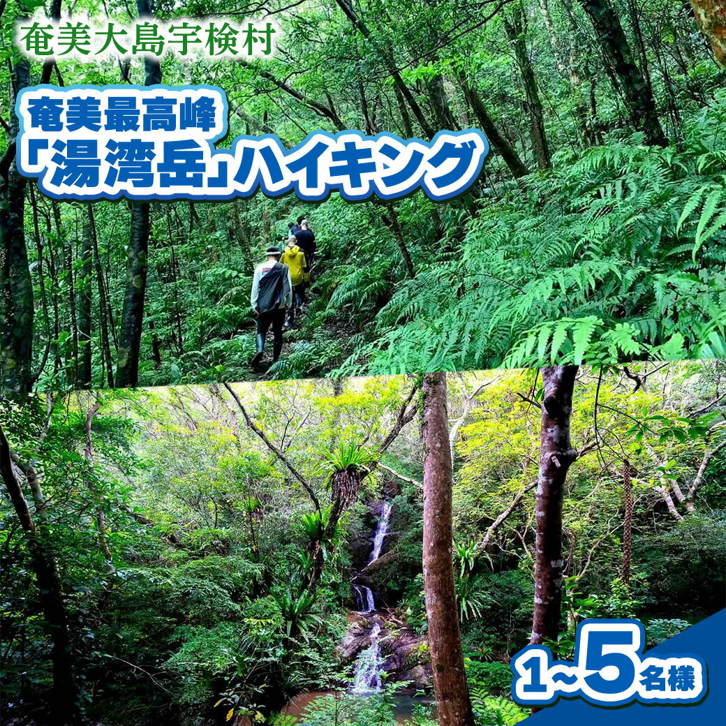 【ふるさと納税】奄美最高峰「湯湾岳」ハイキング 体験 奄美大島 宇検村 鹿児島県 旅行 自然 冒険 完全プライベート