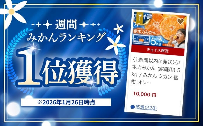 伊木力みかん 家庭用みかん 5kg みかん ミカン 蜜柑 フルーツ 果物