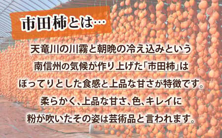 A-95 長野県南信州特産市田柿 450g×２袋セット