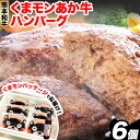 【ふるさと納税】くまモン あか牛 ハンバーグ 120g×6個 あか牛のたれ付き 熊本県産 あか牛 あかうし 三協畜産 《60日以内に出荷予定(土日祝除く)》 熊本県 長洲町 タレ付き ハンバーグ 熊本和牛 送料無料