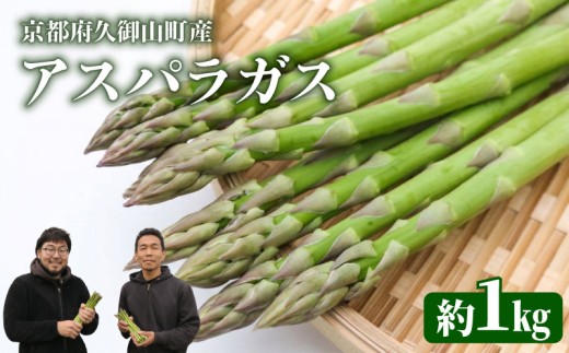 【先行予約】 夏芽 アスパラガス 約 1kg M～Lサイズ 【6月下旬～9月発送】 数量限定 京都 季節 限定 サラダ 炒め物 アスパラ あすぱら あすぱらがす 京都府 久御山町 久御山 夏野菜 夏芽 人気 野菜 旬 朝採れ 朝採り 新鮮 期間限定 季節限定 旬野菜 季節野菜 夏 限定 京都 採れたて 産地直送 直送 料理 天ぷら 甘い 健康 やわらかい おいしい おすすめ 産地直送 アスパラガス