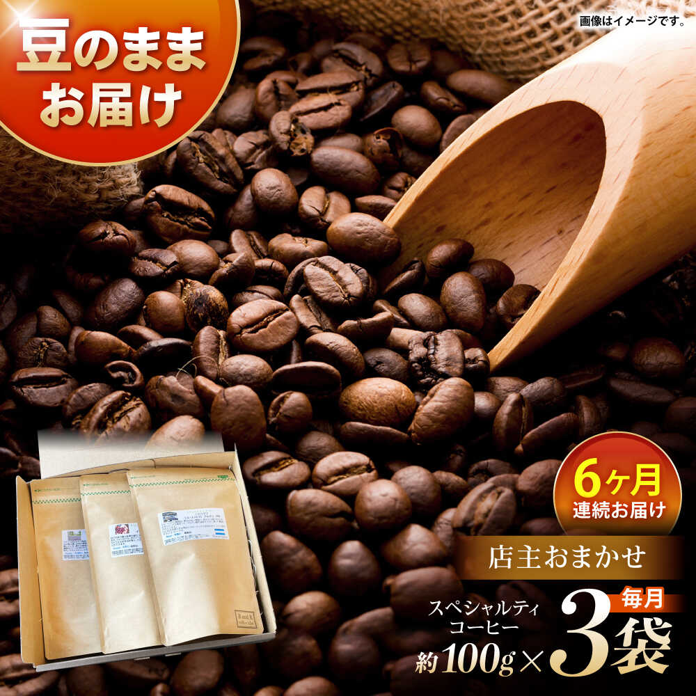 【ふるさと納税】【6回定期便】自家焙煎スペシャルティコーヒーおまかせセット(豆のまま) / スペシャルティコーヒー ブレンド コーヒー / 諫早市 / R and R coffee labo [AHCJ020]
