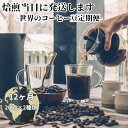 【ふるさと納税】【コーヒー豆定期便12か月】『焙煎幸房“そら”』世界を旅するコーヒー 浅煎り〜深煎りおまかせ 200g×2袋(2種類合計400g)