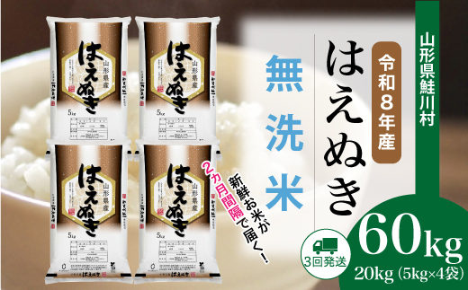 ＜令和8年産米＞ 令和9年5月上旬より発送  はえぬき【無洗米】60kg定期便(20kg×3回） 山形県鮭川村
