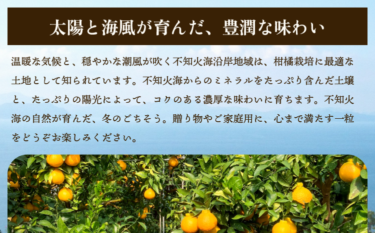 先行予約 宇城市産 不知火 約5kg 15玉〜22玉前後 【2026年3月上旬から5月上旬発送予定】 しらぬい みかん ミカン 蜜柑 柑橘 くだもの フルーツ 果物 熊本県産 九州産 国産 木村果樹園