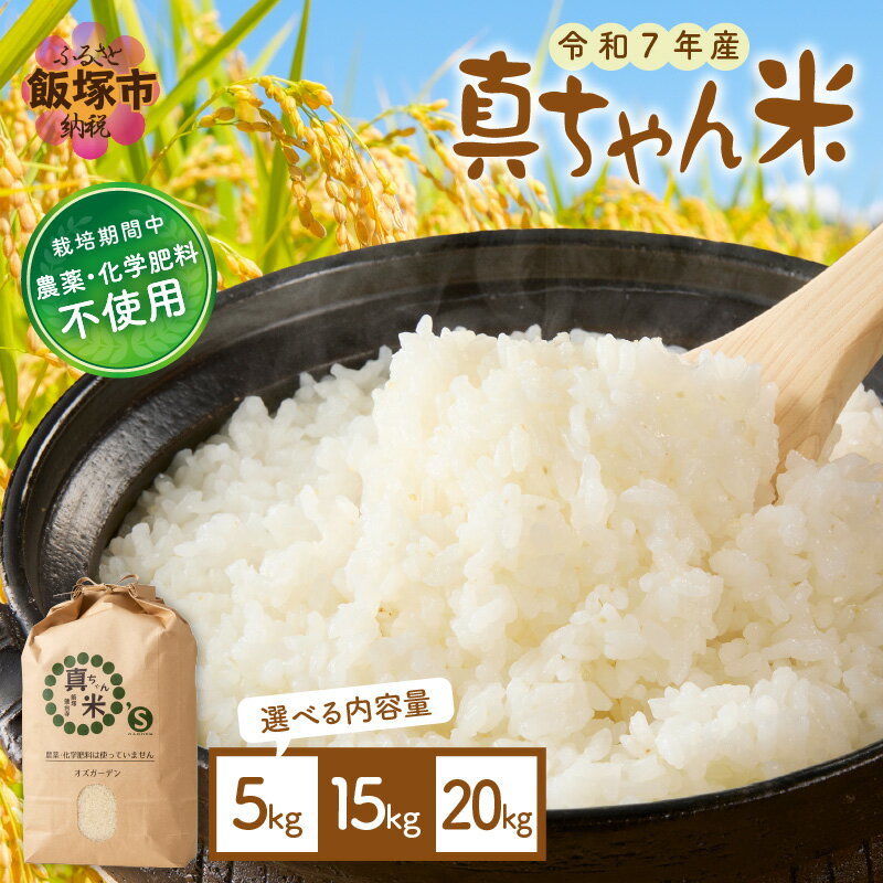 【ふるさと納税】＼内容量が選べる／【令和7年産】農薬・化学肥料不使用 真ちゃん米 5kg 15kg 20kg