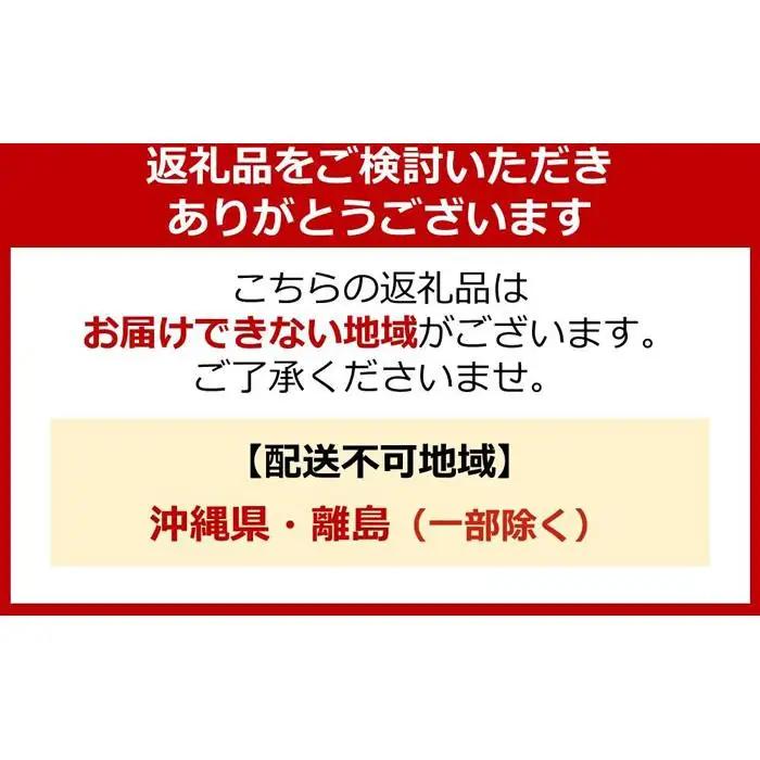 洗濯洗剤 NANOXone ニオイ専用 詰替え 超特大セット(1,080g×6個)  洗剤
