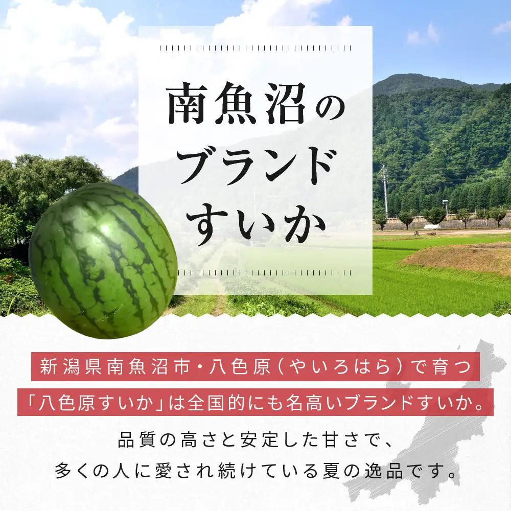 【高級】八色原すいか小玉２玉 | すいか