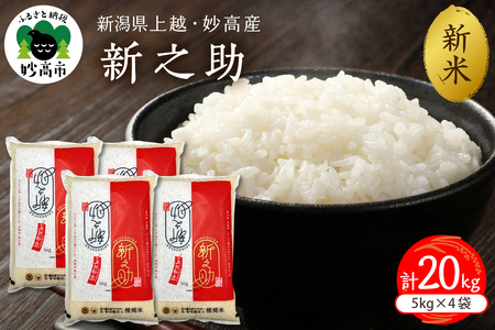 【2025年11月中旬発送】新潟県上越妙高産新之助20kg※沖縄県・離島配送不可