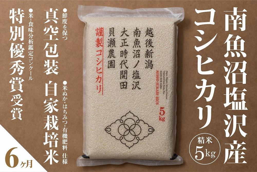 新米予約【令和8年産】【定期便】「貝瀬農園米」農薬5割減栽培　南魚沼塩沢産コシヒカリ　精米5kg×全6回【定期便 銘柄米 ブランド米 精米 こしひかり コシヒカリ 魚沼産】【2026年10月上旬から1ヶ月以内に順次発送予定】
