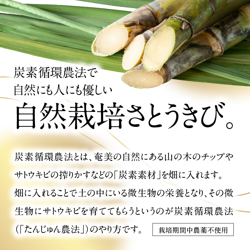 長期熟成　島の宝　くろきび酢　200mlー10本