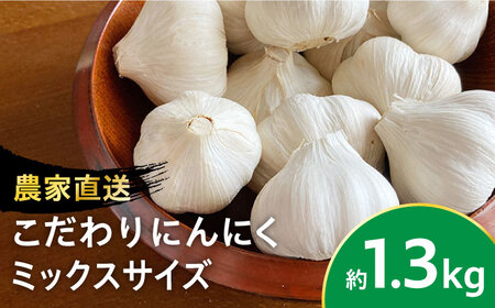 にんにく サイズ混合 約1.3kg【一ノ瀬農園】ニンニク ガーリック にんにく ニンニク ガーリック にんにく 九州 佐賀県 白石町 [IBQ001]