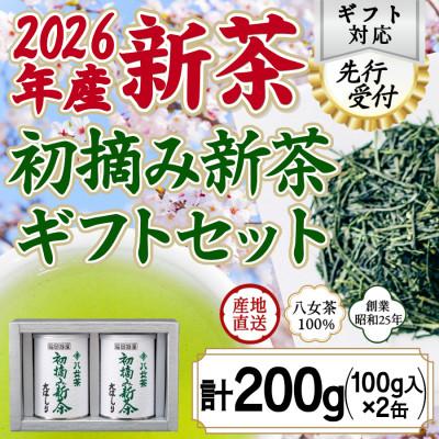 ふるさと納税 八女市 【先行受付】「2026年産 初摘み新茶」100g缶詰 2缶化粧箱入 ギフト対応
