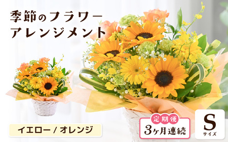定期便 ≪3ヶ月連続お届け≫ 季節のフラワーアレンジメント S ( イエロー・オレンジ) 花束 生花 プレゼント [B-20714_02] 