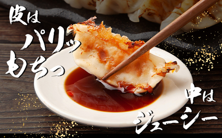 広島県産和牛ブレンド生餃子 ２袋（1袋14個入り） NPO法人nina神石高原《60日以内に出荷予定(土日祝除く) 》広島県 神石高原町 生餃子 中華 和牛 ブレンド 野菜