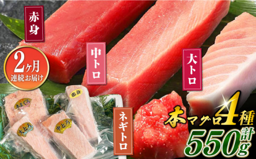 【全2回定期便】対馬産 本マグロ 4種 計550g（赤身/中トロ/大トロ/ネギトロ）《対馬市》 【対海】 新鮮 マグロ 鮪 本鮪 赤身 中トロ 大トロ ねぎとろ 海鮮 冷凍 [WAH033]