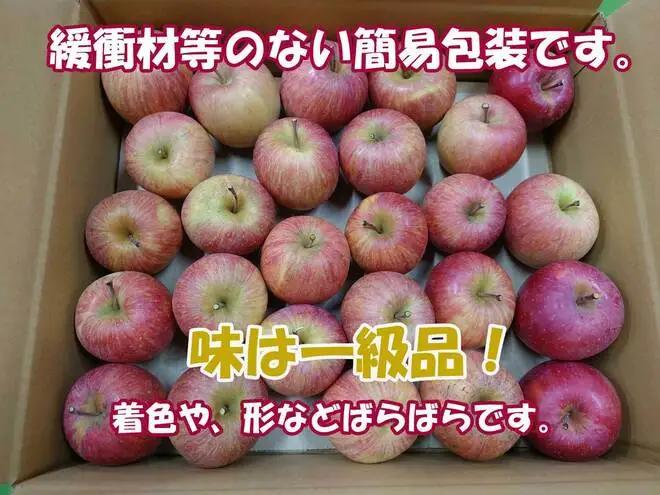【2026年産】 シャキシャキ葉とらず ふじりんご 約10kg 特別栽培農産物 長野県産 訳あり りんご リンゴ フルーツ 果物 おやつ デザート 信州 上田 家庭用