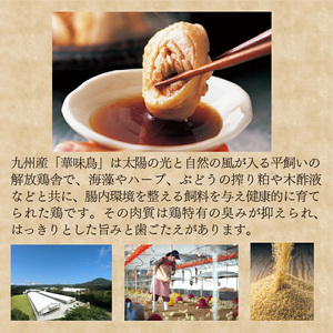 〈博多華味鳥〉 水たきセット 6～8人前　[M676] 水炊き もつ鍋 鍋 人気 セット 肉 鶏 はなみどり ご当地グルメ 福岡 スープ