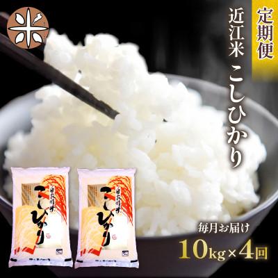 ふるさと納税 竜王町 【毎月定期便】こしひかり白米10kg(5kg×2袋)全4回