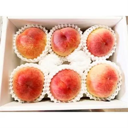 【日高町】紀州和歌山産の桃　約1.8kg　化粧箱入【配送不可地域：離島・北海道・沖縄県】【1217365】