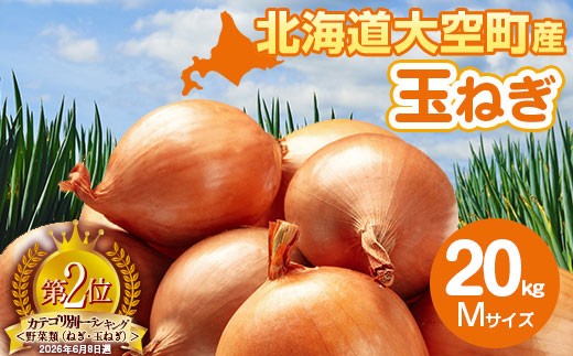 【先行予約】玉ねぎ Mサイズ 20kg 大空町産（2026年11月以降順次発送） 【 ふるさと納税 人気 おすすめ ランキング たまねぎ 玉ねぎ タマネギ 20kg M サイズ 玉葱 オニオン スライス サラダ 野菜 スープ 肉じゃが 煮物 ハンバーグ すりおろし 甘い カレー 新鮮 北海道産 野菜 旬 北海道 大空町 送料無料 】 OSR010