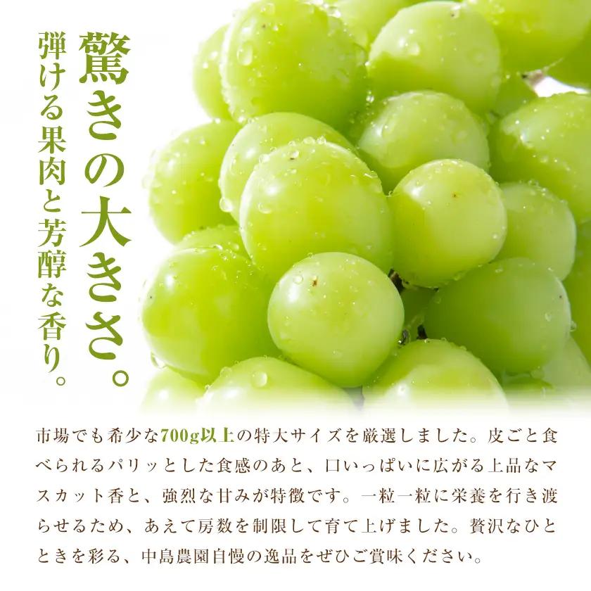 シャインマスカット 1房 特大 700g 以上 【配送不可地域あり】(沖縄・離島)