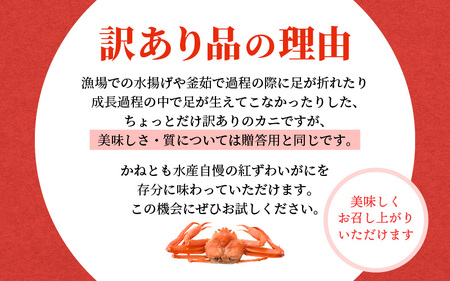 【訳あり】≪浜茹で≫越前産 紅ずわいがに 約700g × 2杯 食べ方しおり付【5月発送分】【紅ズワイガニ カニ かに 蟹 姿 ボイル 冷蔵 福井県】希望日指定不可 [e14-x025_05]