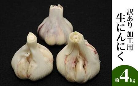 加工用 訳あり 生にんにく 約4kg【2026-5月上旬～2026-6月上旬配送】| にんにく