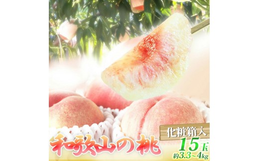 紀州和歌山産の桃　１５玉　化粧箱入	※2026年6月下旬頃〜2026年8月上旬頃順次発送（お届け日指定不可）【uot780A】