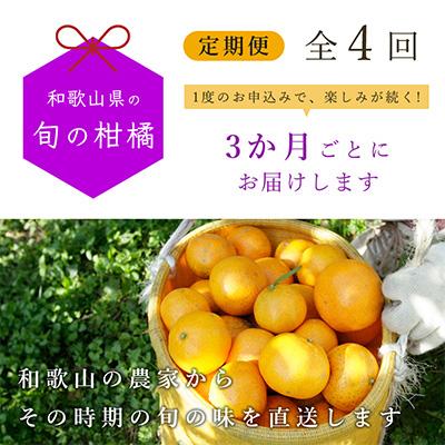 ふるさと納税 広川町 【発送月固定定期便】和歌山有田の季節の柑橘5kg 定期便 3か月ごと(1月4月7月10月)全4回 |  | 01
