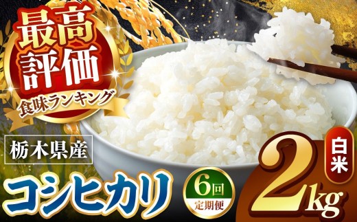 【令和8年産 先行予約】 ＼訳あり／ こしひかり 新米 白米 2kg 【定期便 ６回】 | 米 お米 こめ コメ 白米 ライス ご飯 ごはん 美味しい 米 こしひかり コシヒカリ 2kg 銘柄米 ブランド米 令和8年産 産地直送  定期便 ６回 新米 国産 国産米 栃木県産 お米 栃木県産米 お取り寄せ  2026年産 米 kome 栃木県 真岡市