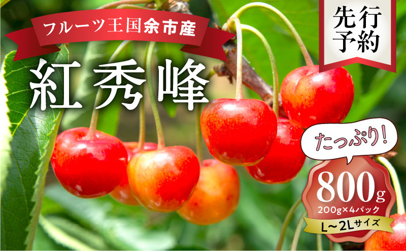 
            2025年発送【先行予約】令和7年産 紅秀峰【L～2Lバラ詰め】200g×4【ニトリ観光果樹園】余市 北海道 フルーツ王国 さくらんぼ サクランボ 桜桃 紅秀峰 余市産さくらんぼ 人気さくらんぼ ニトリ
          