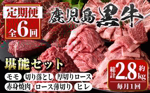 
            D01011 ＜定期便・全6回(連続)＞鹿児島黒牛定期便・堪能セット(全6種・合計2.8kg) 黒毛和牛 鹿児島黒牛 モモ ロース 赤身 薄切り ヒレステーキ 切り落とし 焼肉 食べ比べ 日本一 鹿児島 国産 九州産 牛肉 ビーフ 定期便【新村畜産】
          