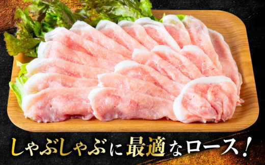 【選べる！冷凍配送 冷蔵配送】一貴山豚 ロースしゃぶ用 計500g(250g×2p) 糸島市 / いきさん牧場 豚肉 [AGB044]