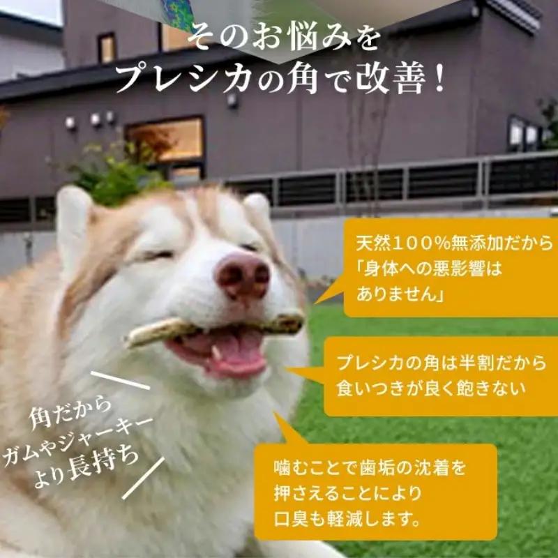 鹿の角 犬のおもちゃ ペット用 Lサイズ ( ペット おもちゃ 鹿 角 )【079-0015】
