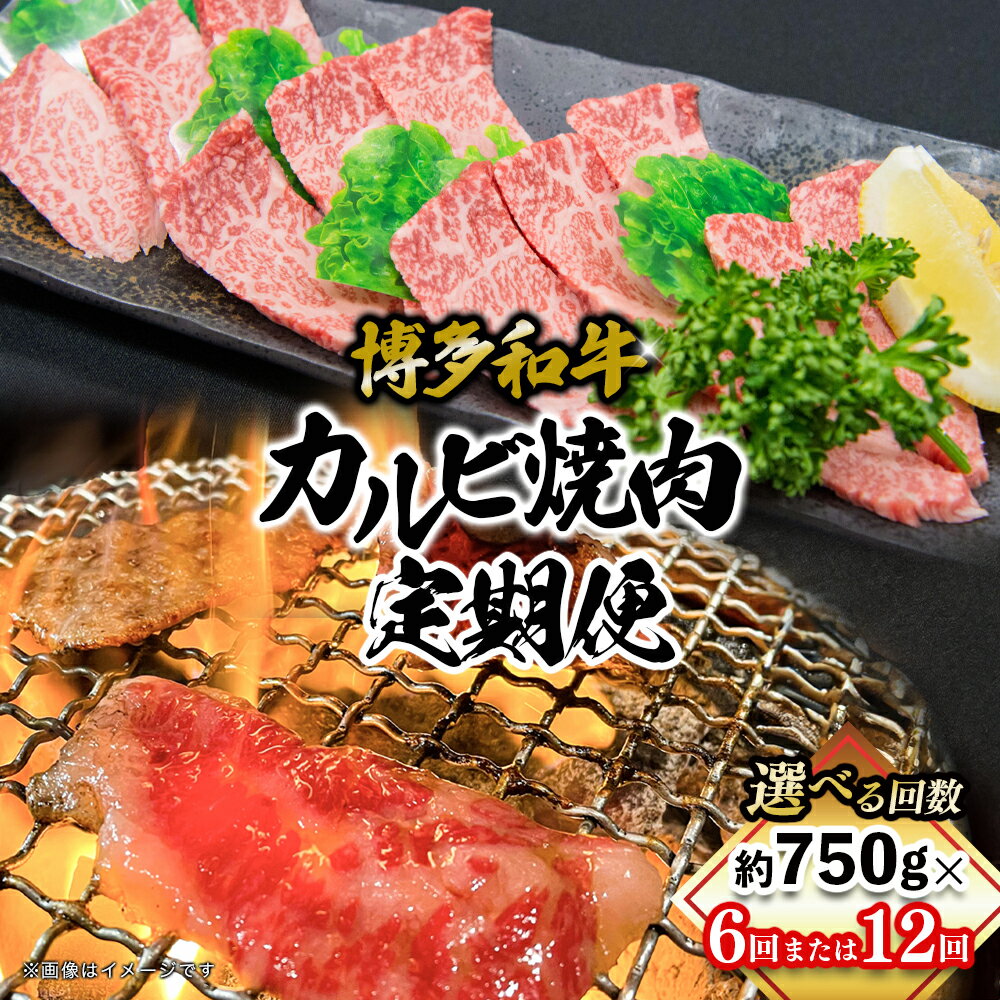 【ふるさと納税】【選べる定期便】 博多和牛 カルビ焼肉（バラ） 定期便 （全6回・全12回） 肉 お肉 焼肉 牛 牛肉 和牛 バーベキュー BBQ 焼肉 福岡県 八女市 072-T110